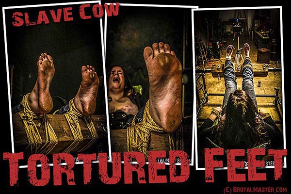 Slave Cow - Tortured Feet