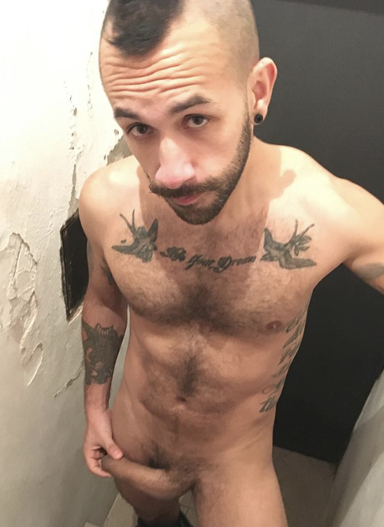 Photo HD Milo Star - 1