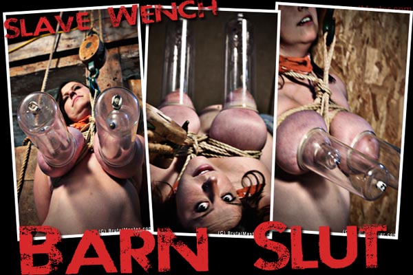 Slave Wench - Barn Slut