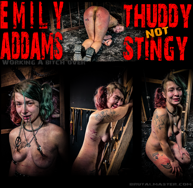 EmillyAddams - Thuddy Not Stingy
