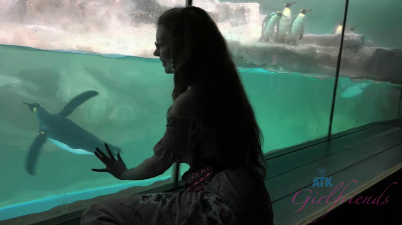 You Take Elena to the Wild Animal Park After She Gets Wild.