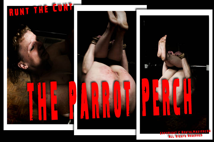 Runt The Cunt - Parrot Perch