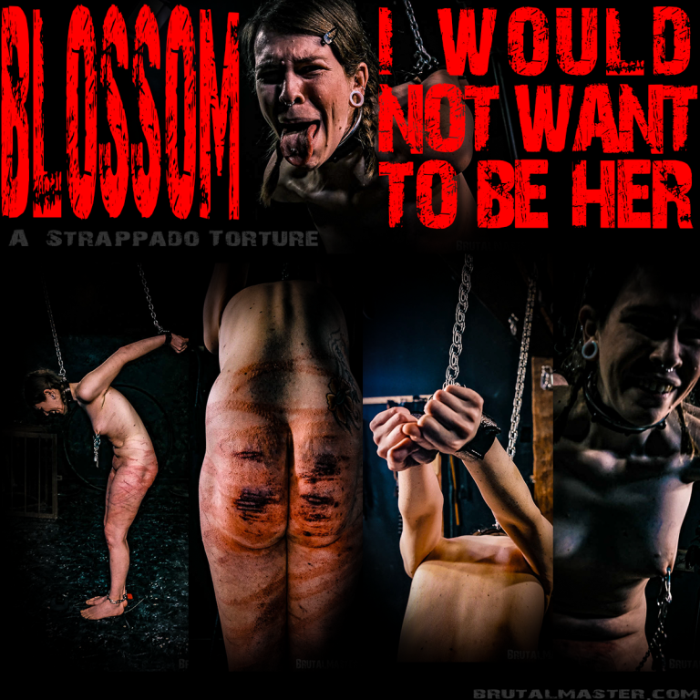 Blossom - I would Not Want To Be Her