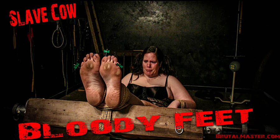 Slave Cow - Bloody Feet