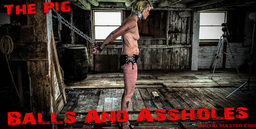 The Pig - Balls And Assholes