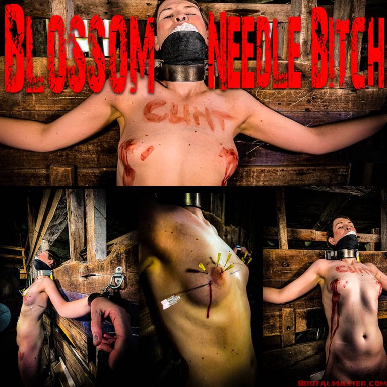 Blossom - Needle Bitch