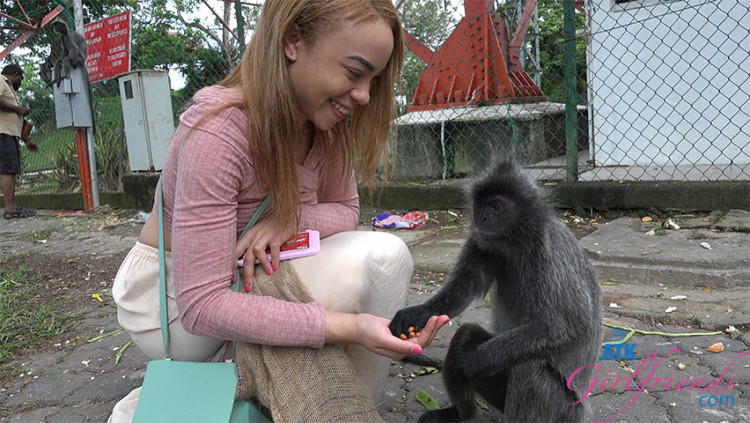 Feeding the Monkeys Was So Much Fun