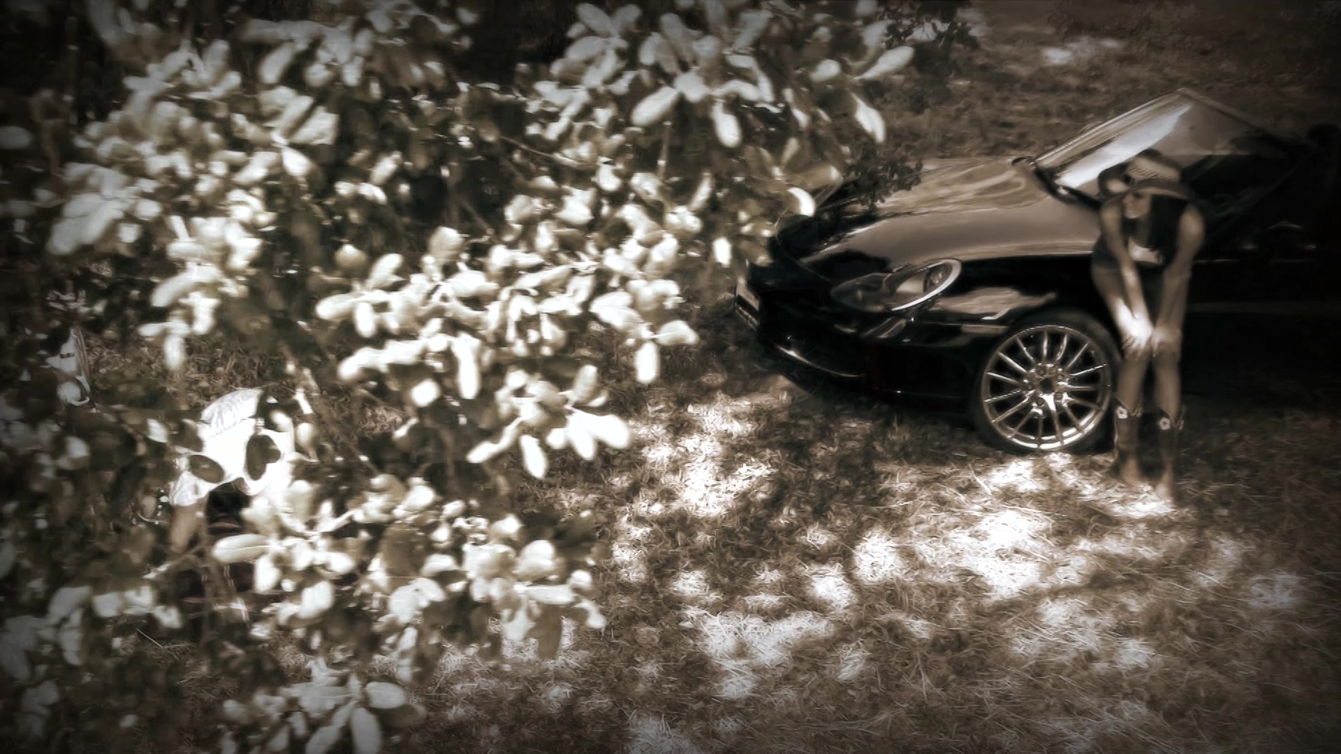 Sunshine Highway 2 - Scene 4