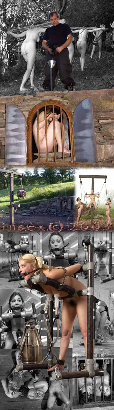 Dairy