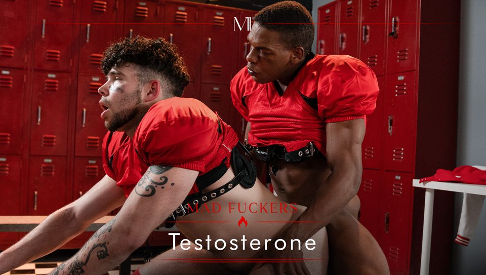 Mad Fuckers: Testosterone