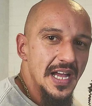 Photo HD Pitbull Porn - 2