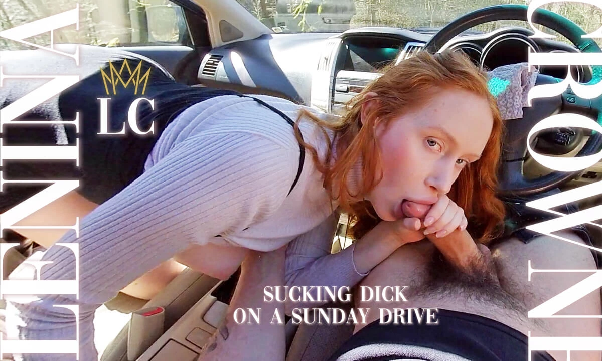 Sucking Dick on a Sunday Drive
