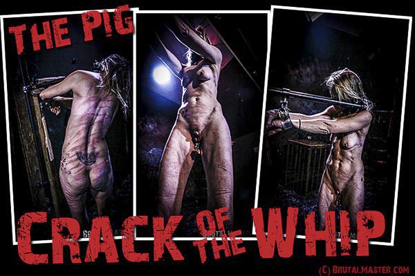 Pig - Crack Of The Whip