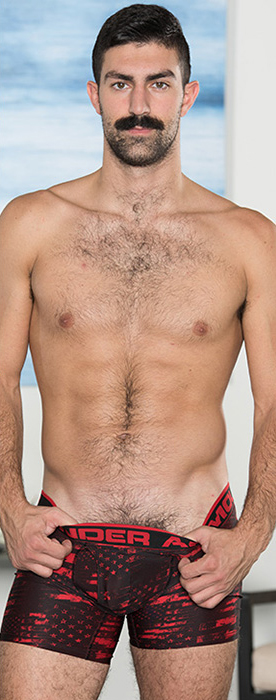 Brandon Ashton MissaX