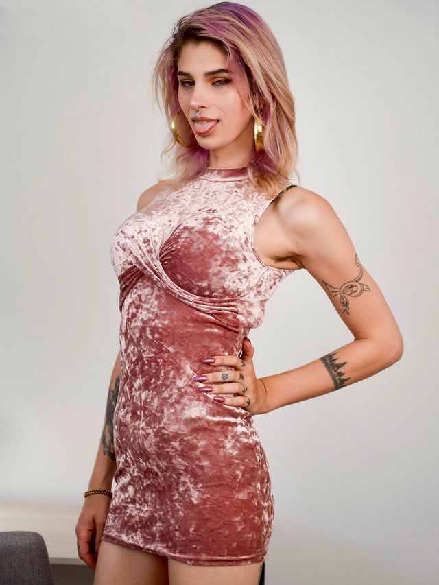 Photo HD Dahlia Crimson - 3