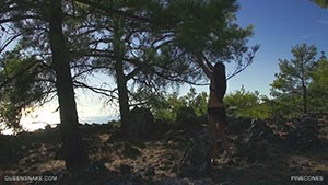 PINECONES