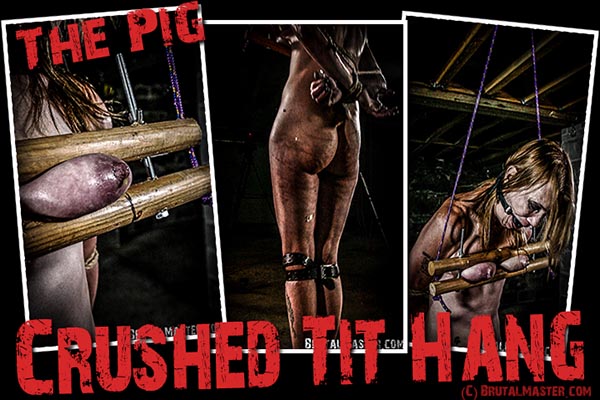 The Pig - Crushed Tit Hang