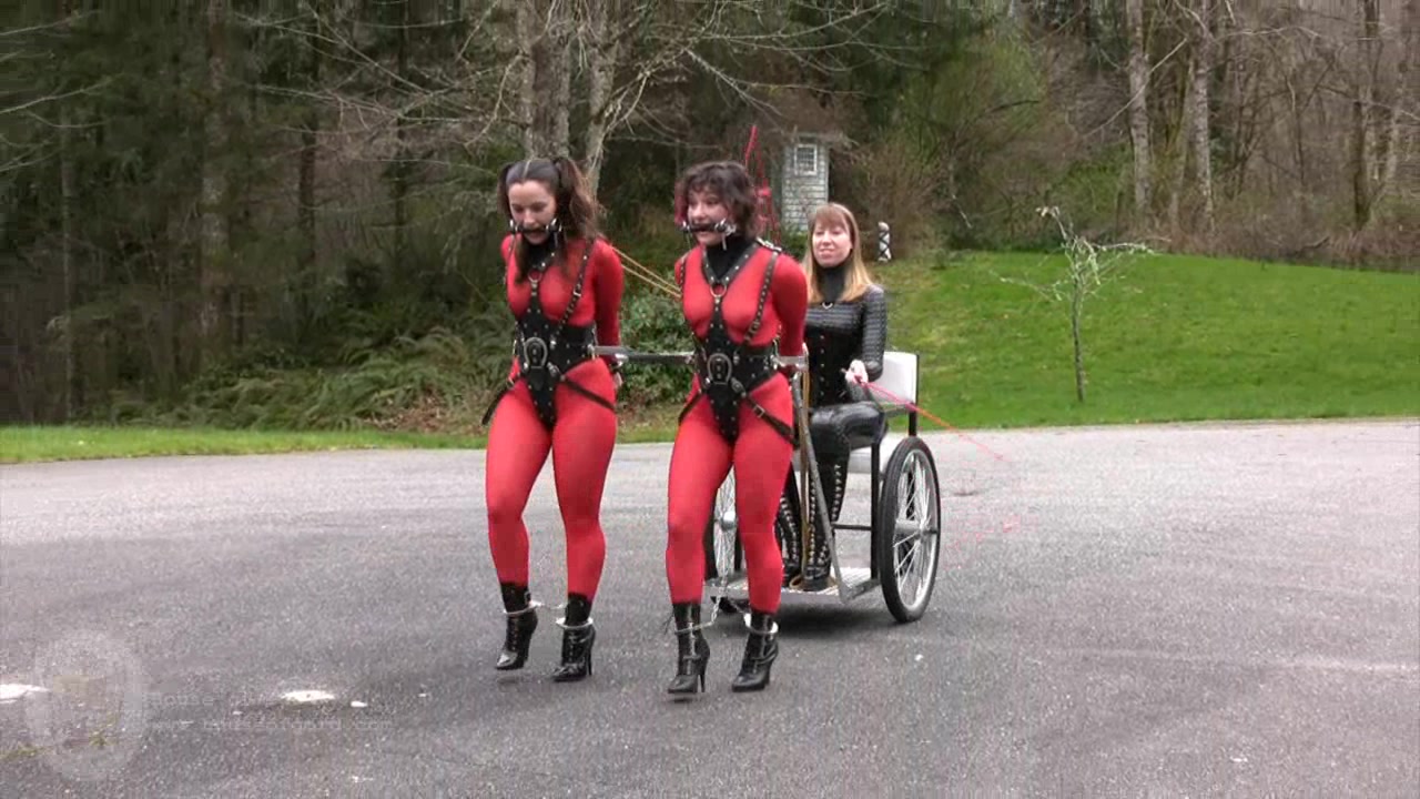 Two-Pony Chariot