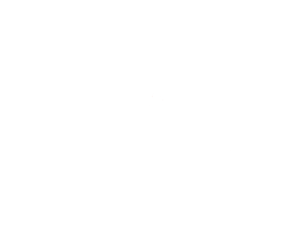 Savanna Star's Playground