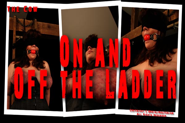 Cow - On/Off The Ladder