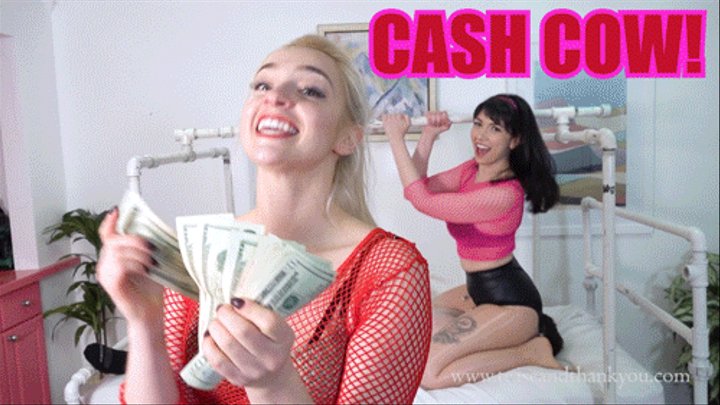 Face Sitting Cash Cow