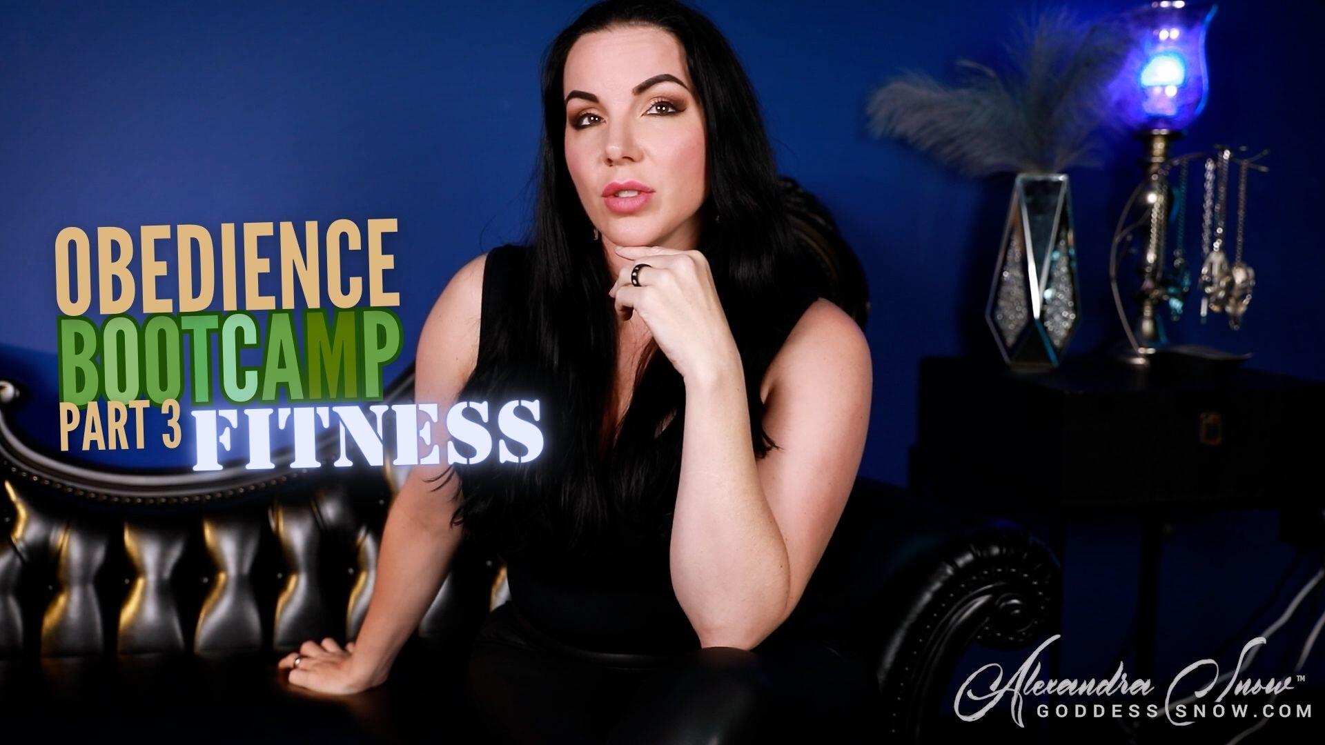 Obedience Bootcamp Part 3: Fitness