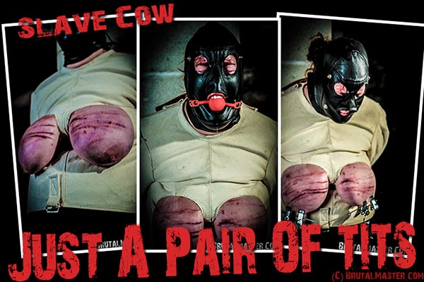 Slave Cow - Just A Pair Of Tits
