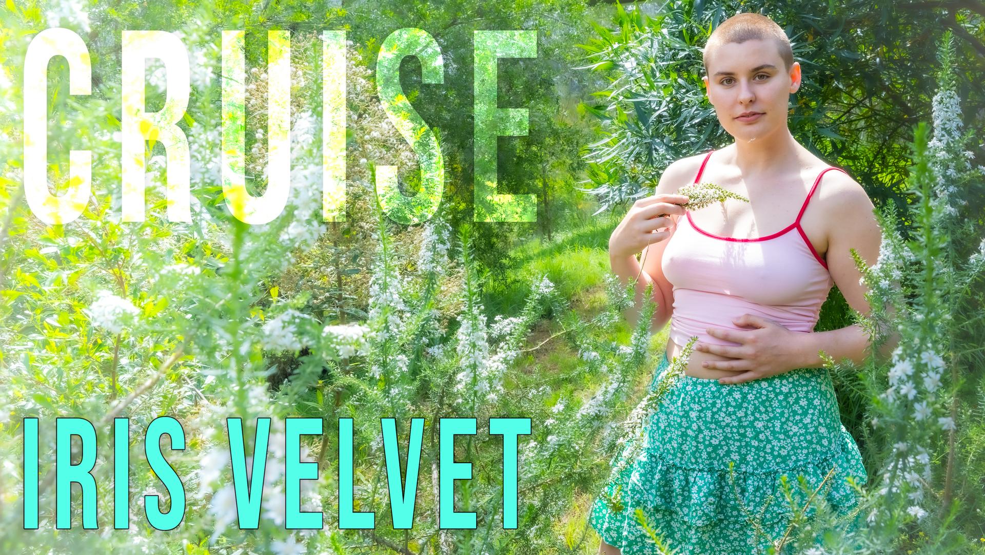 Iris Velvet - Cruise