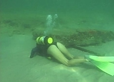Protein Reef