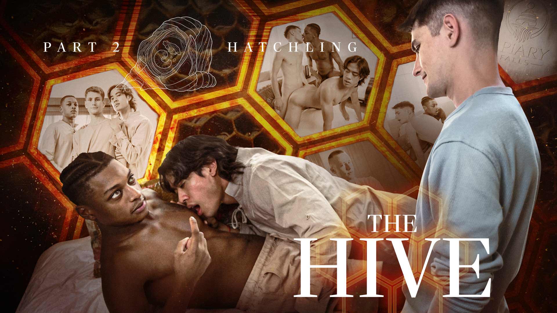 The Hive: Hatchling