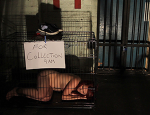P9 Slave Day Release - 7:8