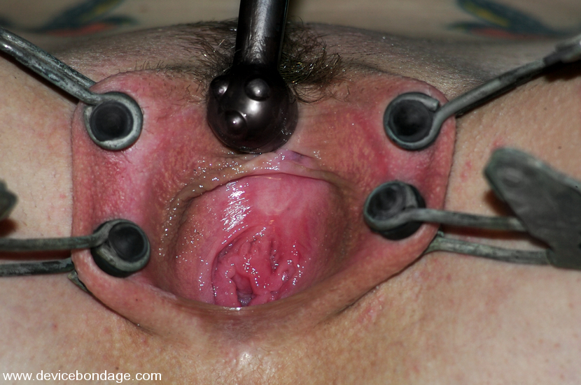 Andy San Dimas Live, Part 2