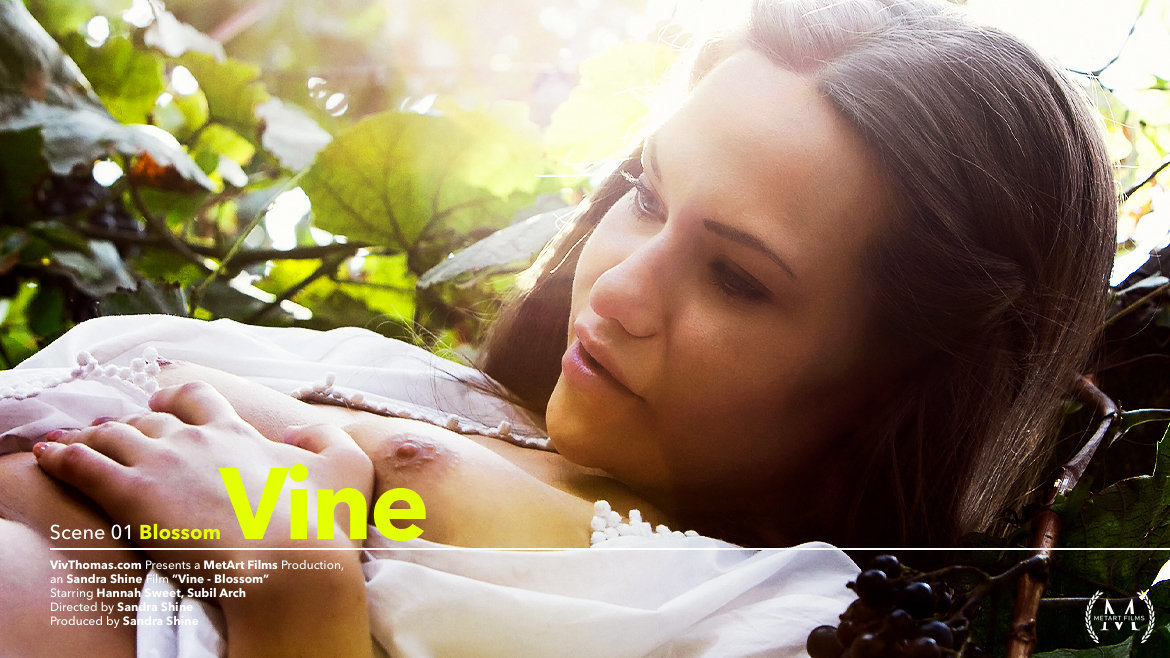 Vine Episode 1 - Blossom