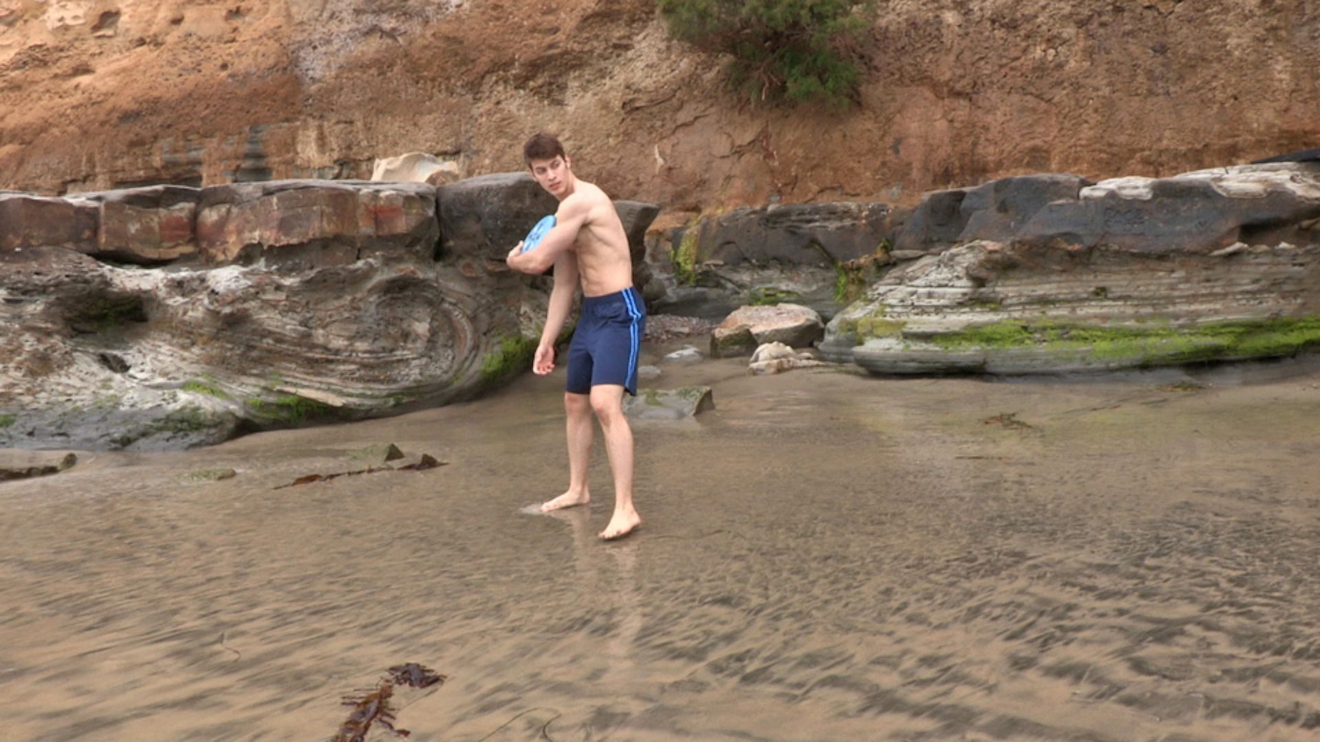 Tripp