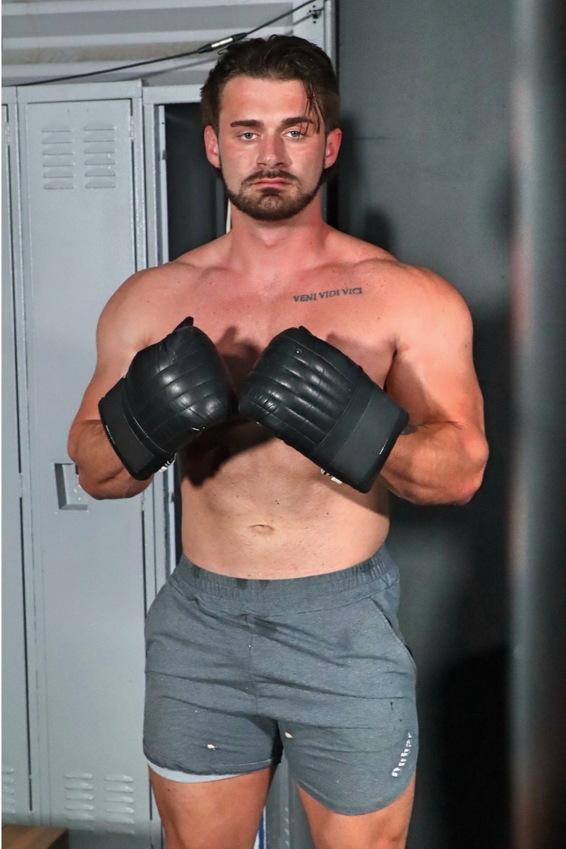 Photo HD Troy The Stallion - 3