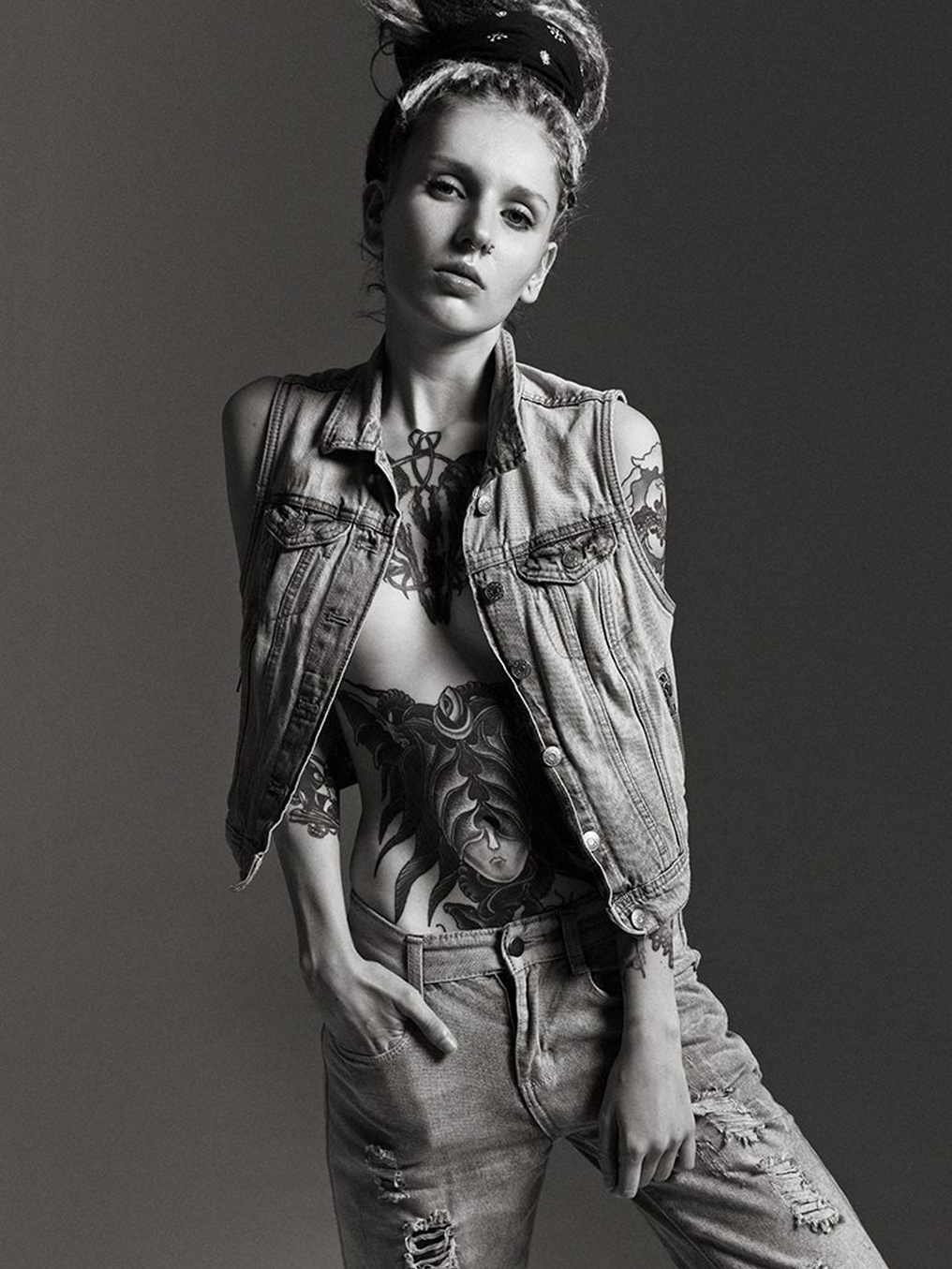 Photo HD Real Red Fox - 9