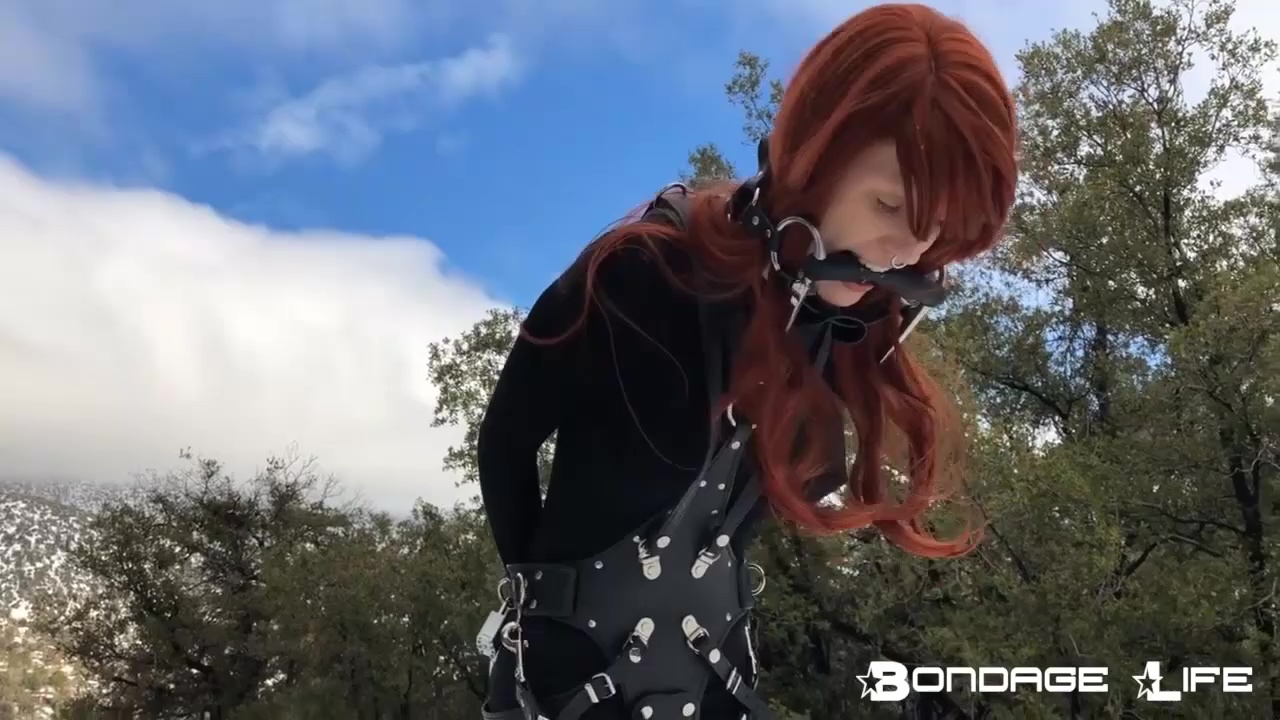 Dashing Through The Snow