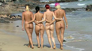 Backside: Fuerte Four 2009