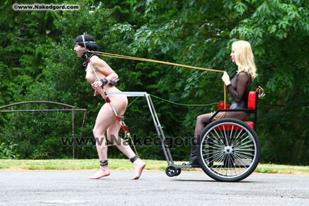 Strapped - Stripped, Driven, Parked and Fucked - Part 2 - Installation