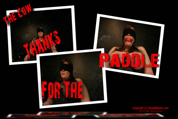 Cow - Thanks For The Paddle