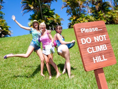 Munching Around in the Zoo