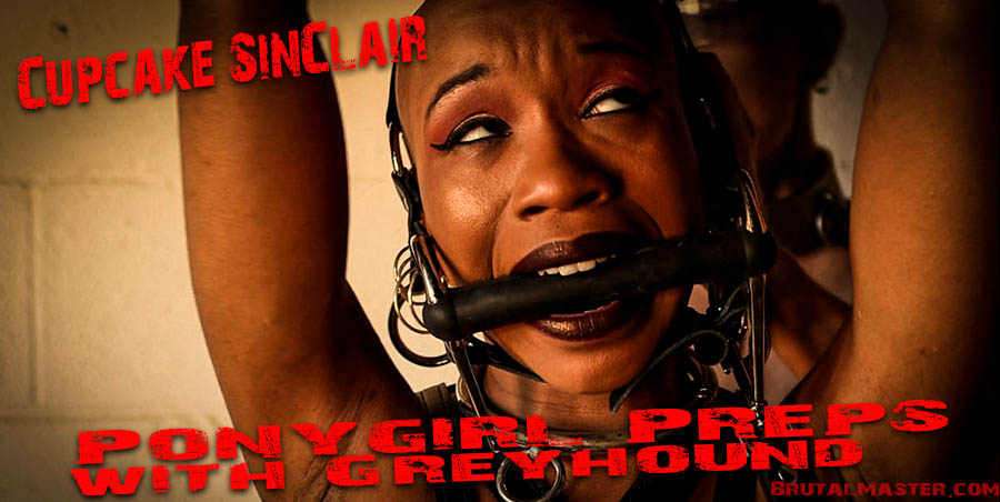 Cupcake SinClair - Pony Preps with Greyhound