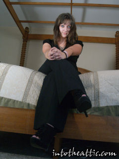 Abby Reid Into the Attic