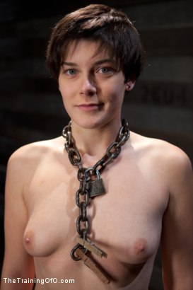 Alice Kingsnorth Fessée