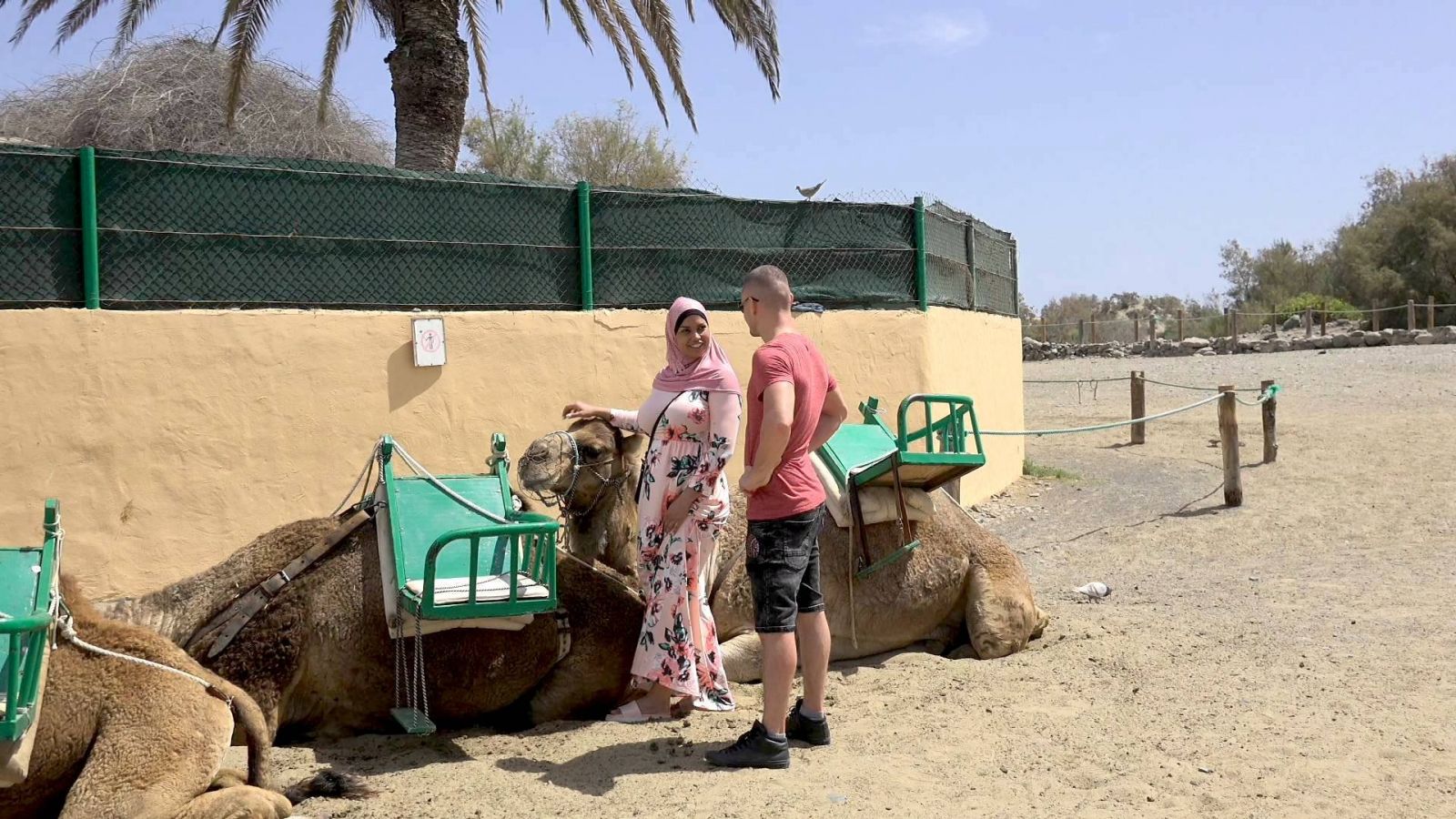 Muslim buxom hijab girl