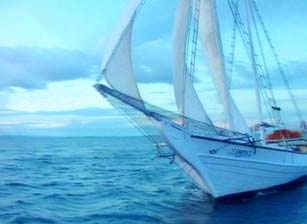 40th Anniversary The Ultimate Anthology Set 1965 2005 part1