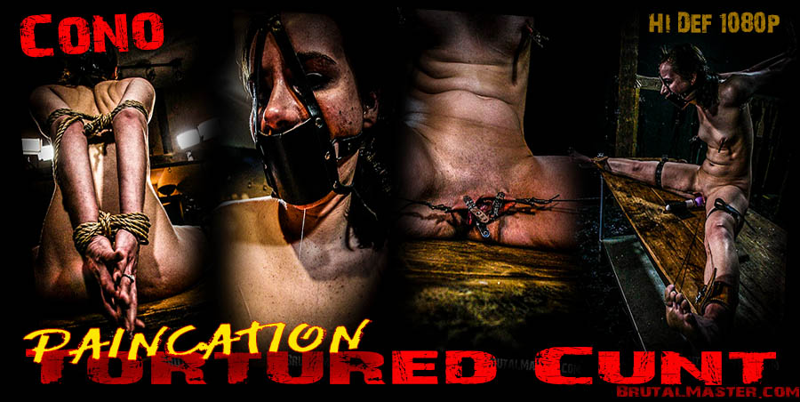 Paincation - Tortured Cunt