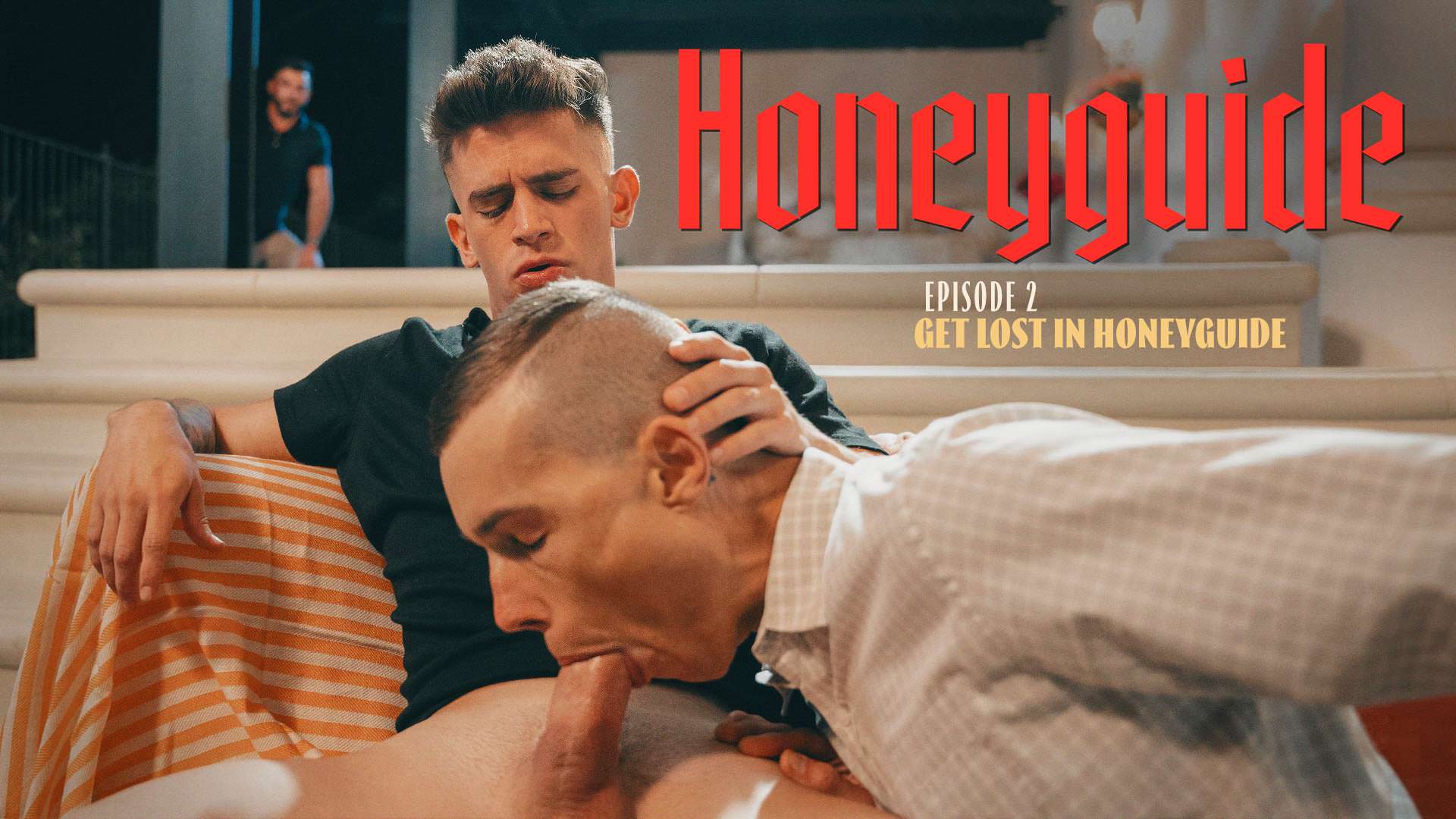 Honeyguide: Get Lost In Honeyguide