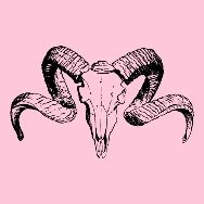 Reese the Ram