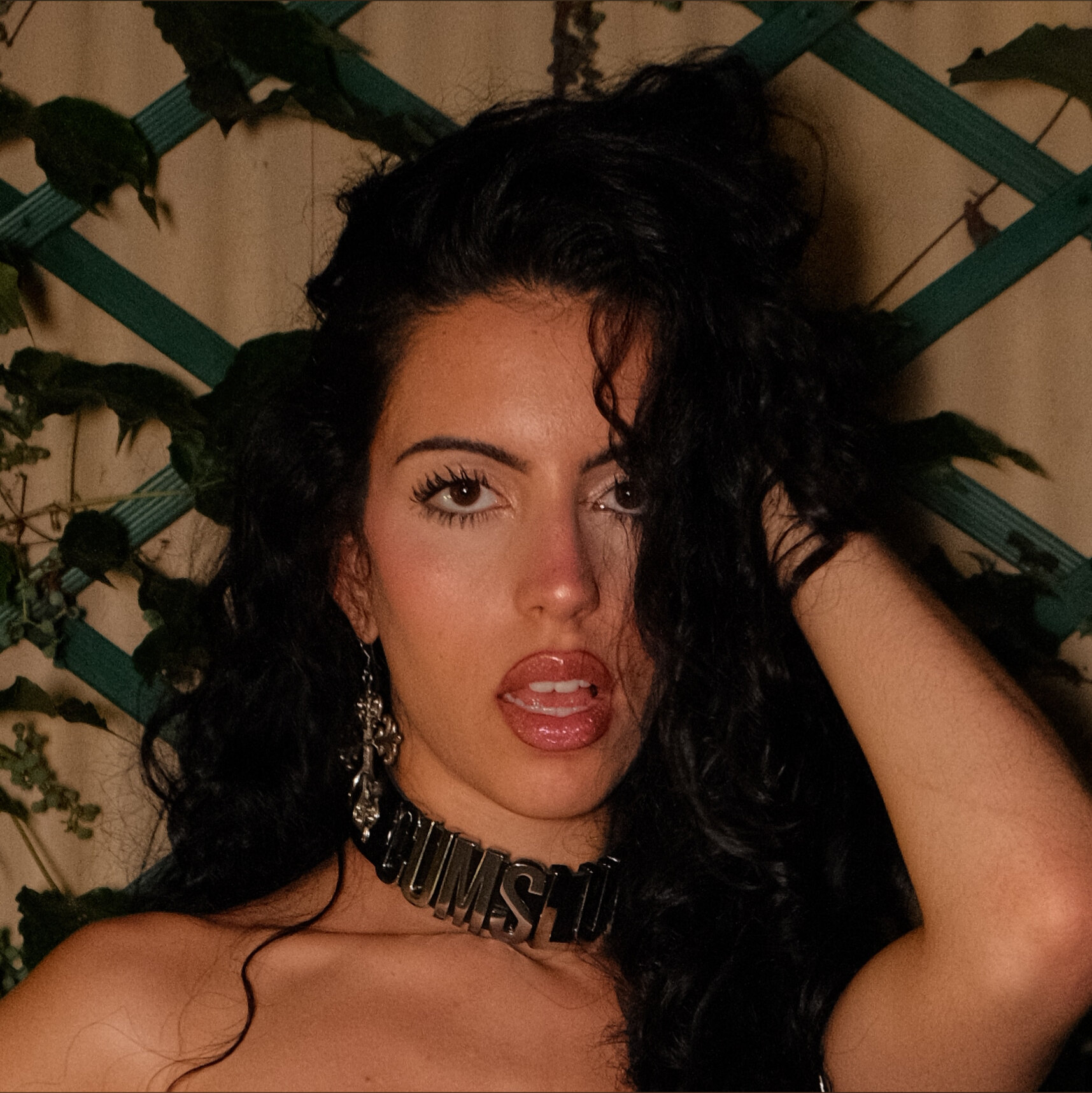 Photo HD Kore Fox - 1